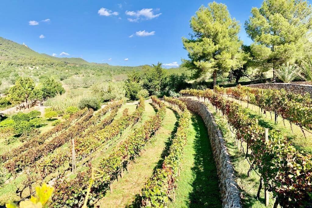 Es Castell De Ca N'Alou De Ses Cases Noves S'Horta Dış mekan fotoğraf