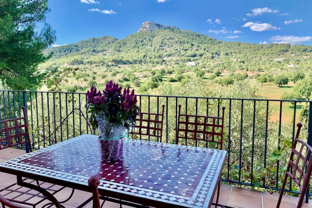 Es Castell De Ca N'Alou De Ses Cases Noves S'Horta Dış mekan fotoğraf